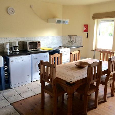 Dingle Centre Townhouse An Capall Dubh Дингл Экстерьер фото