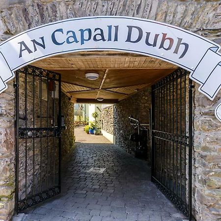 Dingle Centre Townhouse An Capall Dubh Дингл Экстерьер фото