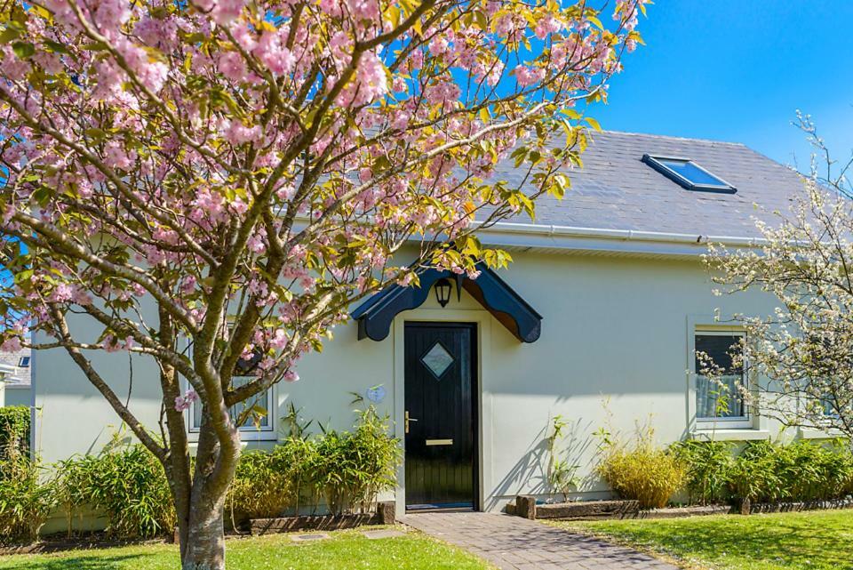 Dingle Centre Townhouse An Capall Dubh Дингл Экстерьер фото